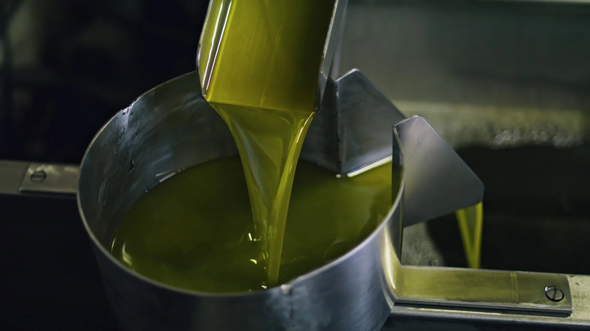 Olive oil flowing during production